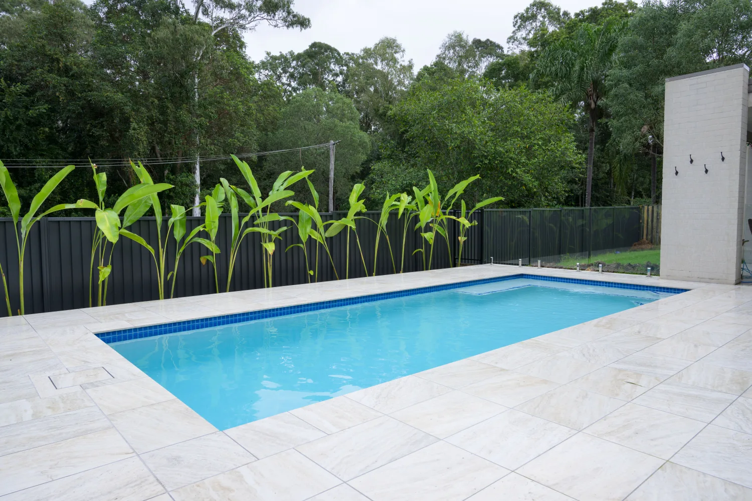 Renovated pool and backyard