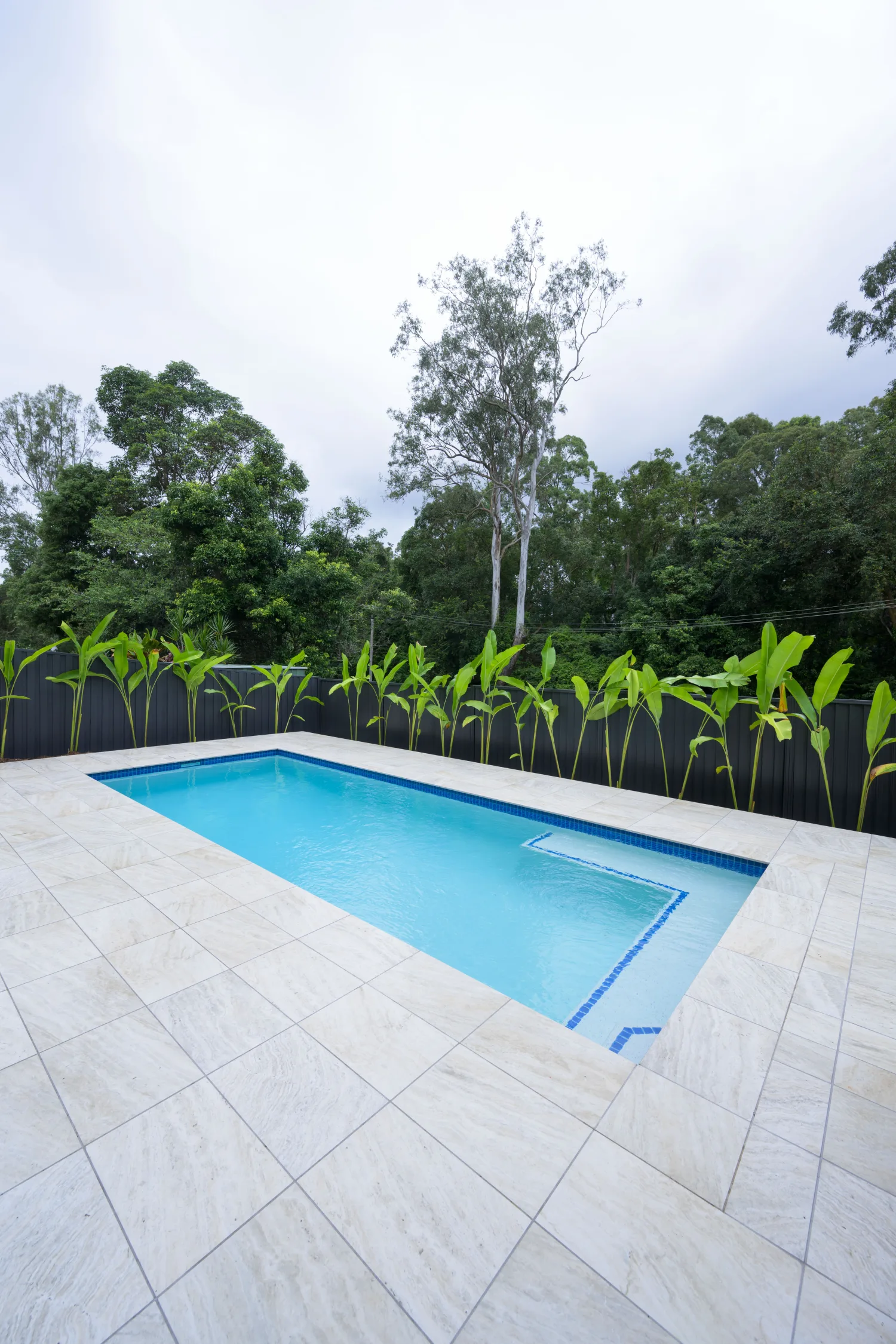 Custom pool with garden and gum trees, Ferny Hills