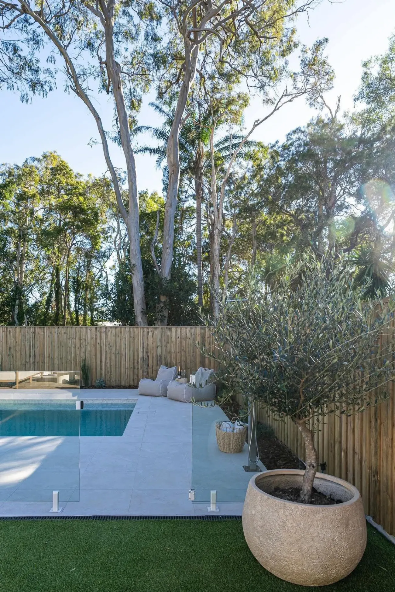 Glass pool fencing and re-landscaped surround