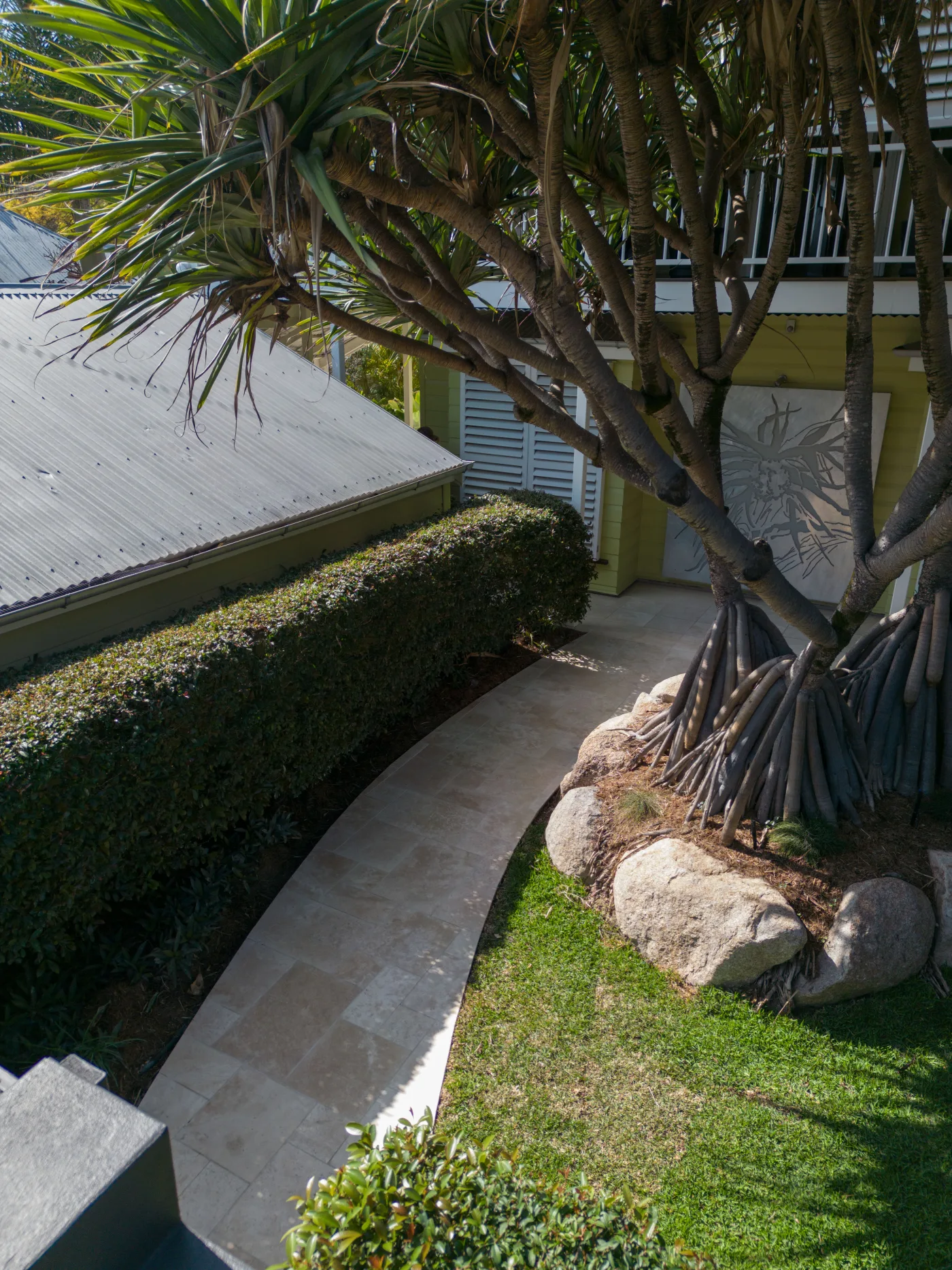 Landscaped garden path with palms, Paddington