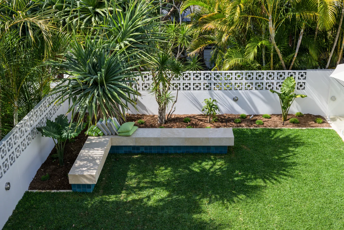 Garden bench, palm and lawn, Paddington